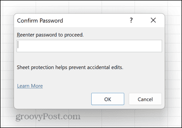 excel confirm password