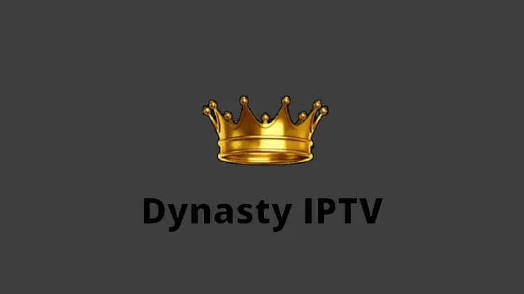use-dynasty-iptv-on-firestick-1