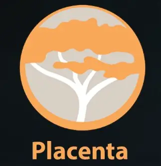 Placenta Kodi Addon 