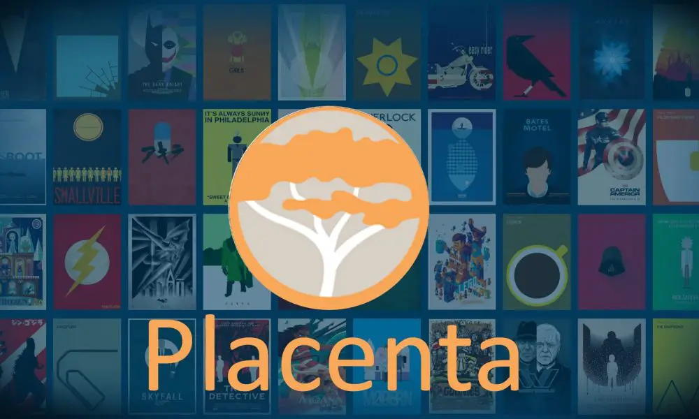Placenta Kodi Add-On