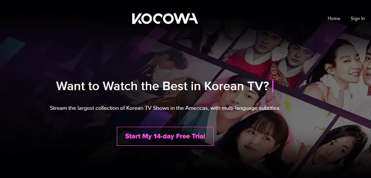 kocowa-on-firestick-with-browser-12