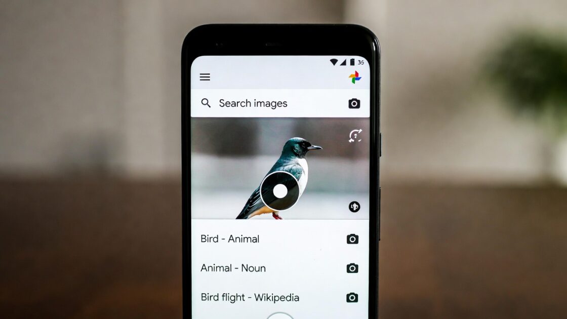 Πώς να αναγνωρίσετε είδη χρησιμοποιώντας το Google Photos και εφαρμογές αναγνώρισης