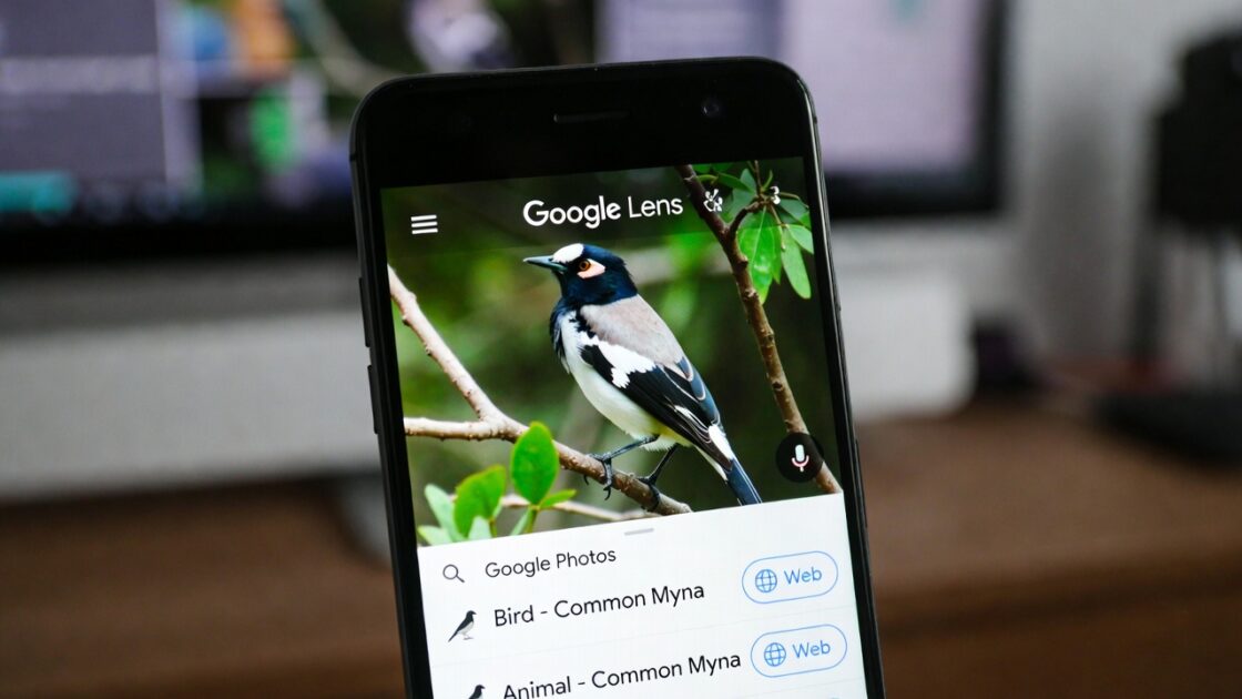Πώς να αναγνωρίσετε είδη χρησιμοποιώντας το Google Photos και εφαρμογές αναγνώρισης