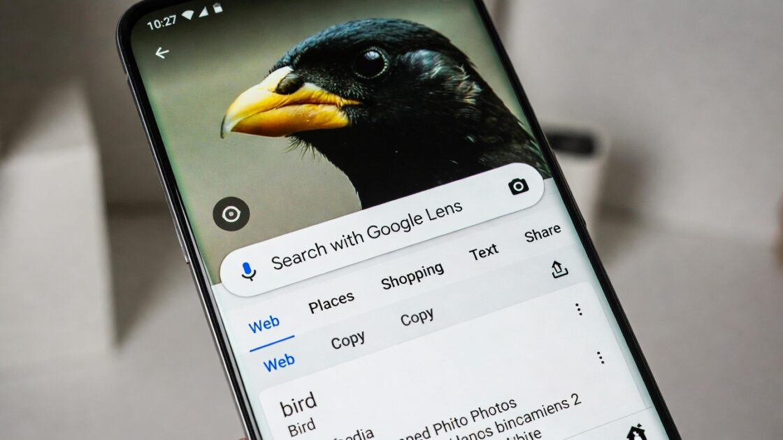 Πώς να αναγνωρίσετε είδη χρησιμοποιώντας το Google Photos και εφαρμογές αναγνώρισης