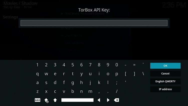 Τώρα πρέπει να δώσετε ένα κλειδί TorBox API για έλεγχο ταυτότητας.